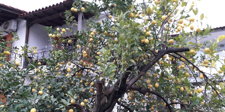 xristos apartment sykia