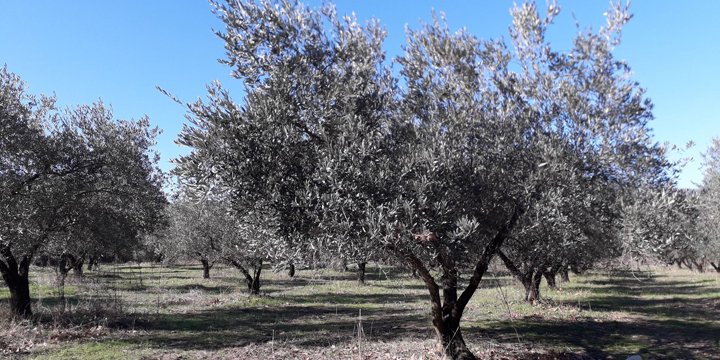 xristos apartment sykia