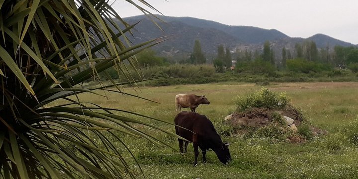 xristos apartment sykia