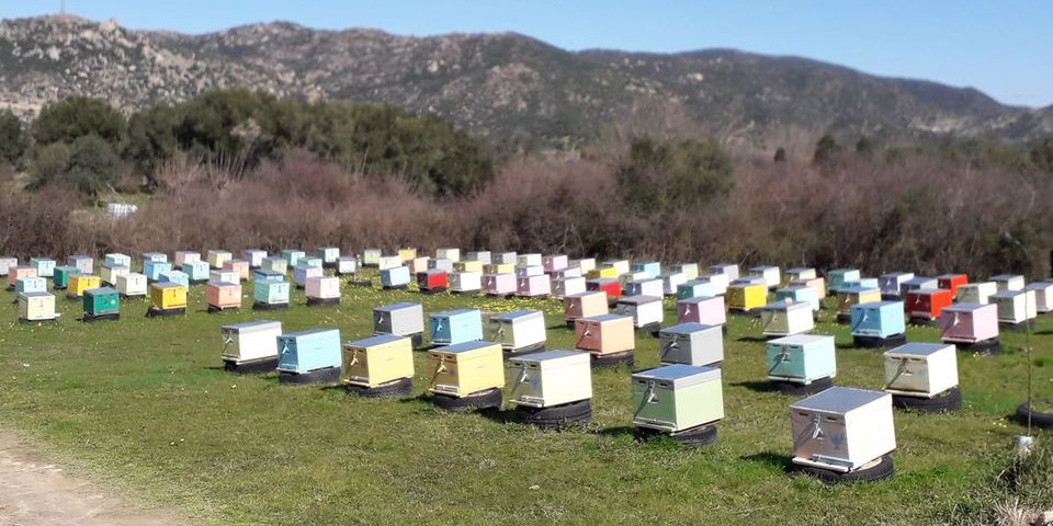 xristos apartment sykia