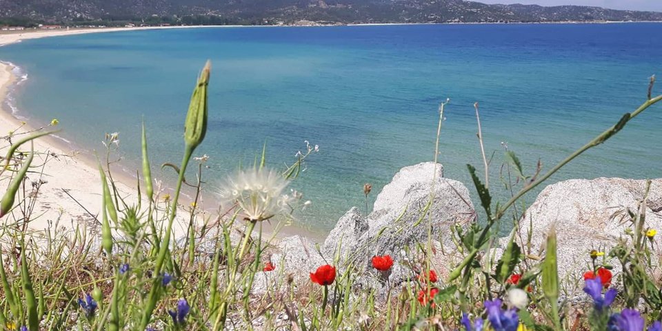 xristos apartment sykia